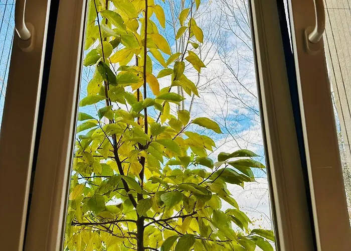 Apartment Valamar Garden *