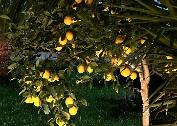 Valamar Garden Apartment Draci